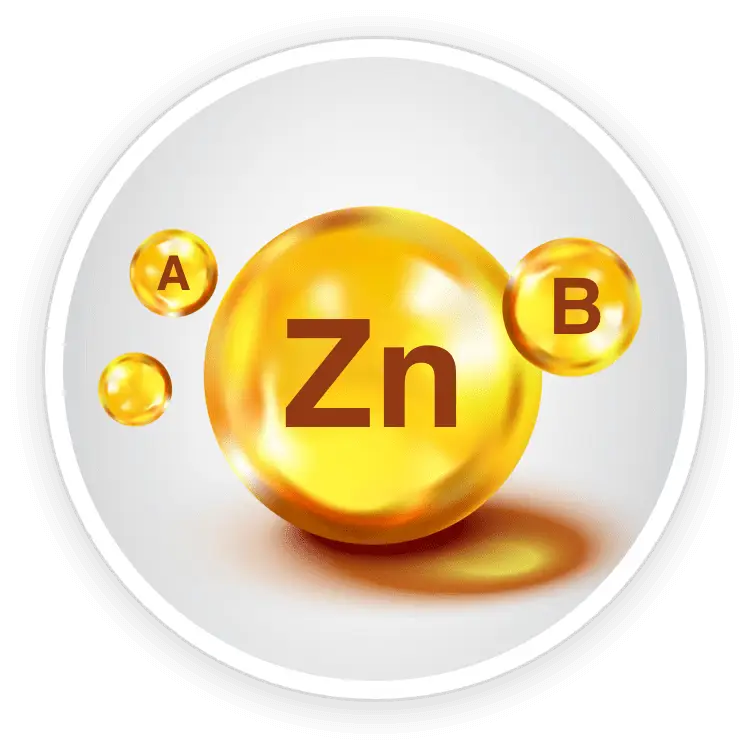 Quietum Plus Vitamin A, Vitamin B and Zinc ingredients